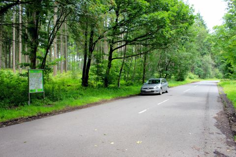 Een rustige straat in een bos met veel groene bladeren. Een auto staat aan de kant van de straat.