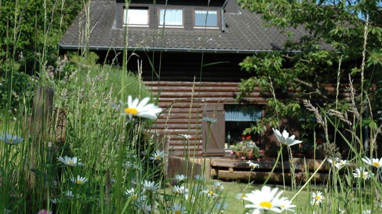A cozy wooden house surrounded by green meadows and colorful flowers. The environment is peaceful and untouched by nature.