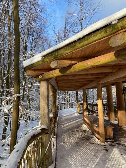 Een houten platform in de sneeuw, omringd door met sneeuw bedekte bomen. De lucht is helder en blauw, wat een vredige sfeer creëert.