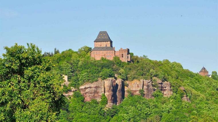 Eine Burg steht auf einem bewaldeten Hügel. Der Himmel ist klar und blau.