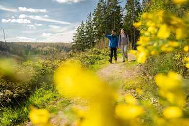 Zwei Wanderer gehen auf einem Pfad durch einen Wald. Neben dem Weg fließt ein klarer Bach und die Bäume stehen in frischer, grüner Umgebung.