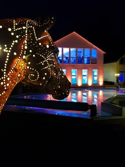 A illuminated horse made of lights stands in the foreground. In the background, there is a building with large windows and a lit pool.