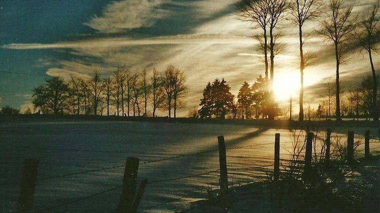 A winter sunset over a snowy landscape. Silhouettes of trees and a gentle shadow play complement the scene.