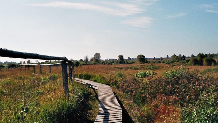 Een houten pad loopt door een uitgestrekt, groen weiland onder een heldere lucht. Het landschap lijkt vredig en uitnodigend.