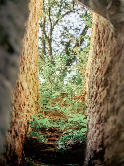 Een blik door een oude stenen boog op een groene landschap met bomen en planten. Het licht stroomt zachtjes door de boog en creëert een rustige sfeer.