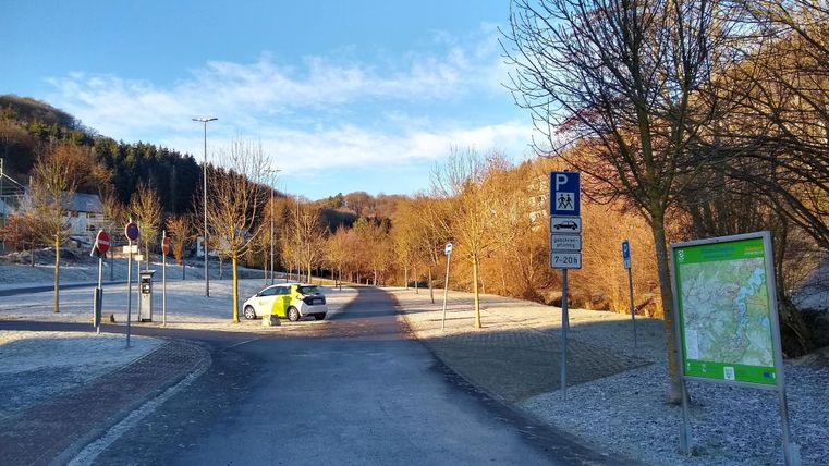 Eine Parklandschaft mit kahlen Bäumen und einem blauen Himmel. Ein Polizeiauto steht am Straßenrand.