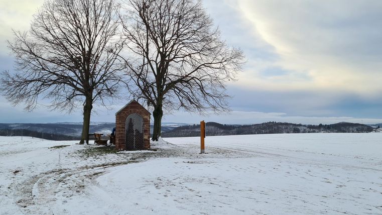 Een besneeuwd landschap met twee grote bomen en een klein huisje. Op de achtergrond zijn zachte heuvels en een bewolkte lucht te zien.