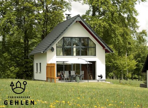 Ein modernes Ferienhaus umgeben von grüner Wiese und hohen Bäumen. Es bietet eine helle Fassade mit großen Fenstern und einer einladenden Terrasse.