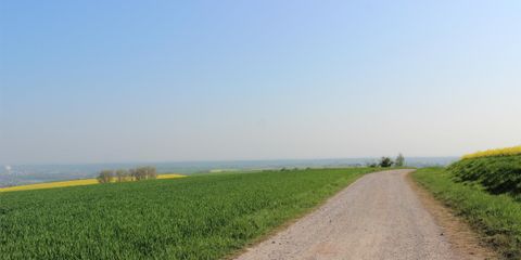 Ein ruhiger Feldweg führt durch grüne Wiesen unter einem klaren blauen Himmel. Die Landschaft ist weitläufig und einladend.