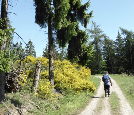 Wandern, © Düren Tourismus