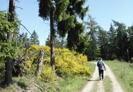 Wandern, © Düren Tourismus