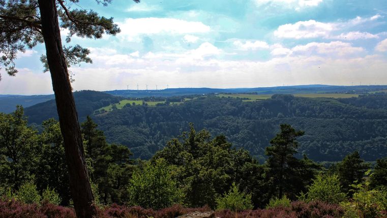 Een schilderachtig landschap met groene bossen en zachte heuvels. De lucht is gedeeltelijk bewolkt en straalt een rustige sfeer uit.