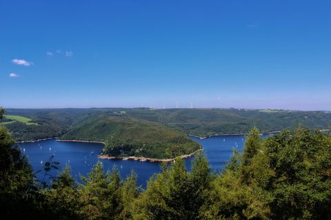 Een schilderachtig landschap met zachte heuvels en een rustige vijver. De lucht is helder en blauw, perfect voor een zomerdag.