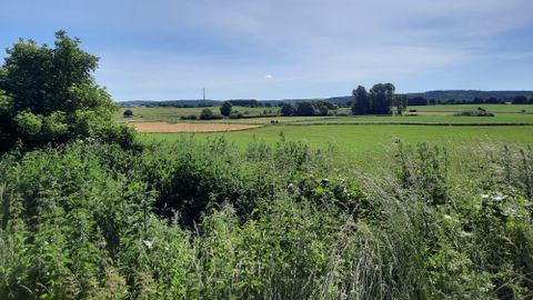 Eine grüne Landschaft mit Feldern und Bäumen unter einem klaren blauen Himmel. Die Farbtöne reichen von saftigem Grün bis zu goldenen Ernten im Hintergrund.