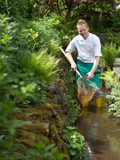 A chef stands in the water of a small stream and catches something from the water with a net. Around him, many plants grow, and there is a green, natural environment.