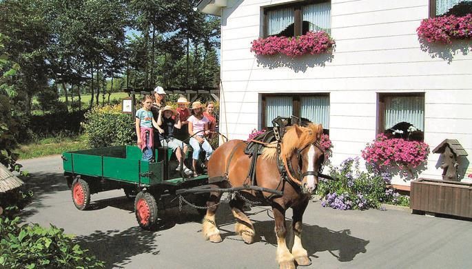 A horse pulls a cart with children in front of a house. Additionally, the windows are adorned with flowers.