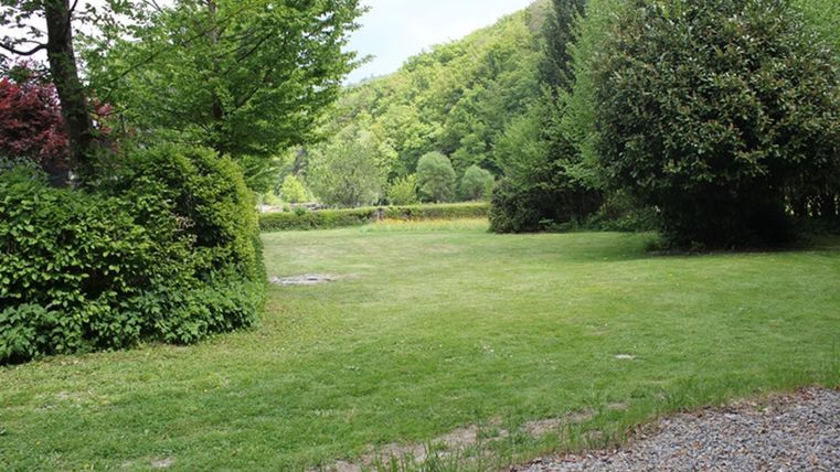 A green meadow surrounded by trees and bushes. In the background, gentle hills are visible.