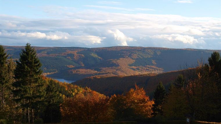 A picturesque view of a wooded valley with autumn colors. In the background, gentle hills and a lake can be seen.