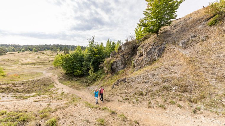 Zwei Wanderer gehen einen Pfad in der Natur. Der Weg führt durch eine hügelige Landschaft mit Bäumen und Steinen.