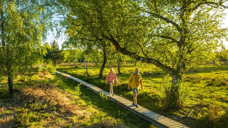 Ein schöner Spaziergang auf einem Holzsteig durch die grüne Landschaft. Zwei Personen genießen die Sonne und die Natur.