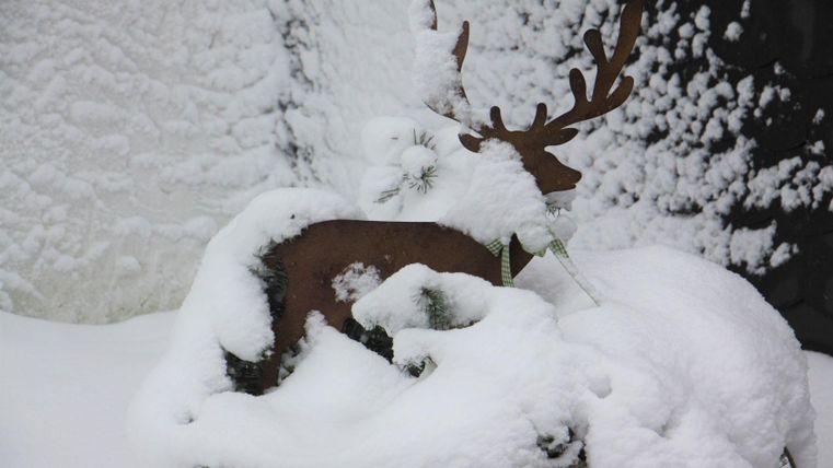 A snowy landscape with a decorative metal reindeer partially hidden in the snow. The background features a snow-covered setting.