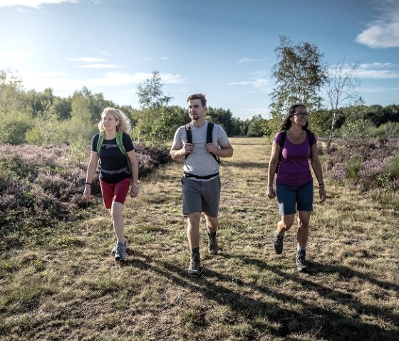 Hiking in the Drover Heath, © Kreis Düren_Dennis Stratmann
