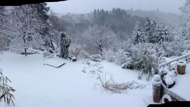 Een besneeuwd landschap met veel bomen en struiken. De tuin is volledig bedekt met een dikke sneeuwlaag.