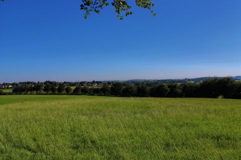Een groene wei met een heldere blauwe lucht en zachte heuvels op de achtergrond. Het landschap lijkt vredig en uitnodigend.