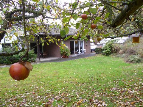 Een gezellig huis met een tuin waar appels aan de bomen hangen. Het gras is groen en de herfstbladeren liggen verspreid op de grond.
