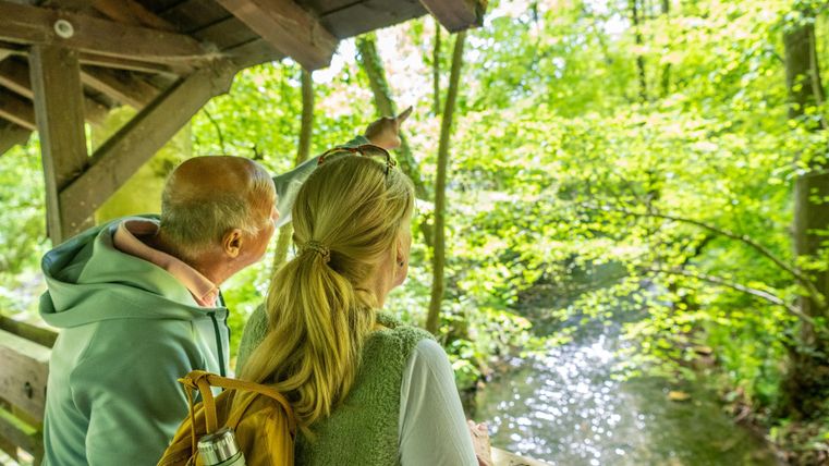 Een stel staat op een uitkijkplatform en kijkt naar een kleine stroom, omringd door weelderig, groen bos. De sfeer is vredig en uitnodigend.