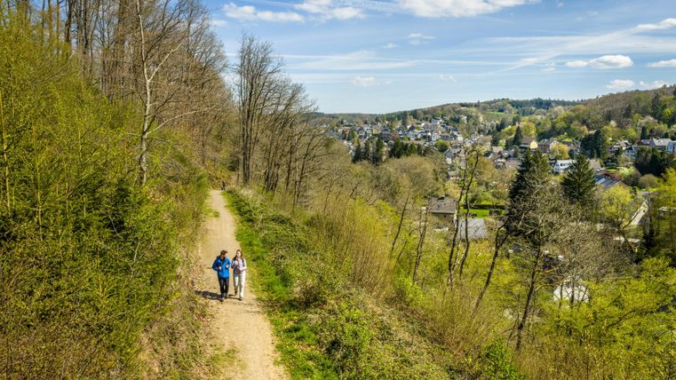 Ein Wanderweg in der Natur mit zwei Personen, die zusammen spazieren gehen. Im Hintergrund ist eine kleine Stadt und grüne Bäume zu sehen.