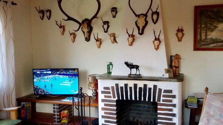 Ein gemütlicher Raum mit einem Fernseher und einem Kamin. An der Wand hängen Geweih-Abbildungen und es gibt einige dekorative Elemente.