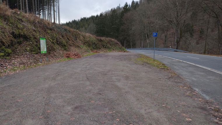 Een rustige parkeerplaats vlakbij een straat, omringd door bomen. Het landschap is natuurlijk en ongerept.