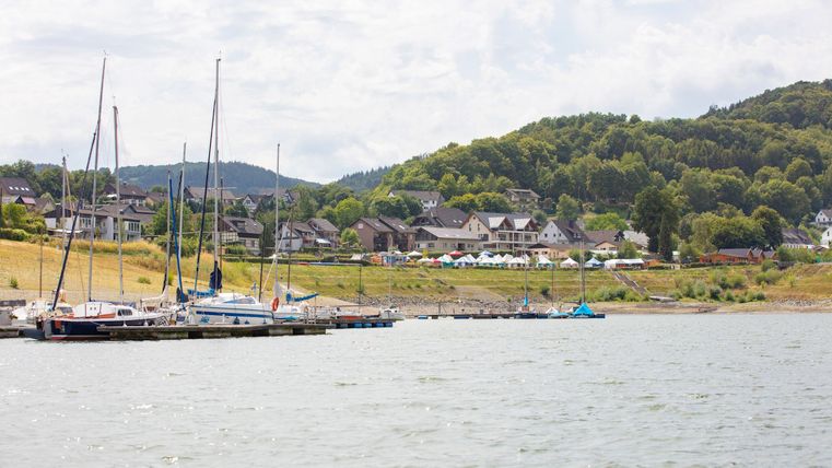 Een rustige landschap aan het water met zeilboten in de haven. Op de achtergrond zijn zachte heuvels en huizen zichtbaar.
