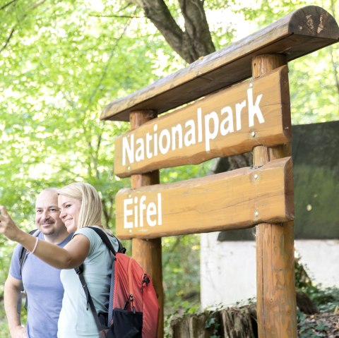 Durch den Nationalpark Eifel, © Eifel Tourismus GmbH, AR-shapefruit AG
