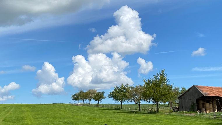 A green meadow with several trees and an old barn building. The sky is blue with white clouds.