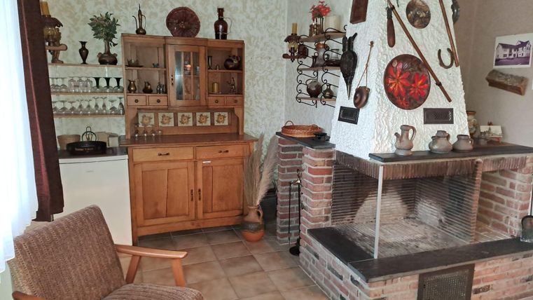 Een gezellige woonkamer met een open haard en rustieke decoraties. Links staat een houten kast, versierd met verschillende keramische voorwerpen en planten.