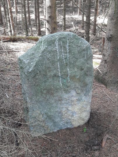Een grote, grijze steen staat in het bos tussen bomen. De grond rond de steen is bedekt met droog loof en aarde.