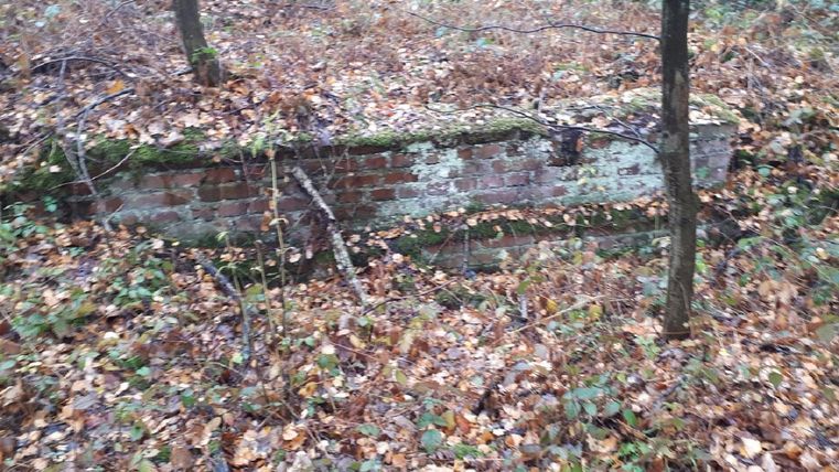 A crumbling brick wall, surrounded by foliage and small plants. The scene is set in the forest and shows the traces of nature slowly making a comeback.
