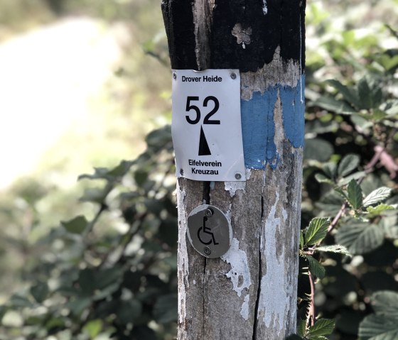 Hiking trail through the Drover Heath