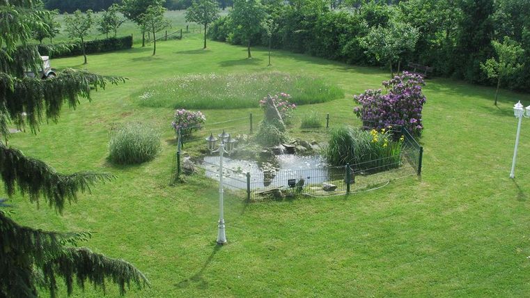 A green meadow with trees and bushes. In the center, there is a small pond with rocks.
