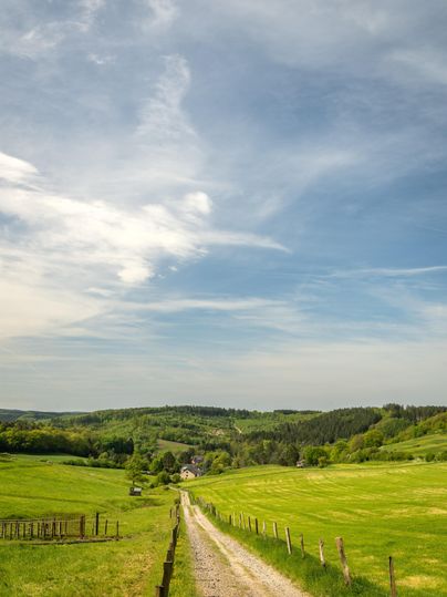 Een pittoresk landschap met een grindpad dat door groene weilanden loopt. De lucht is blauw met enkele wolken.