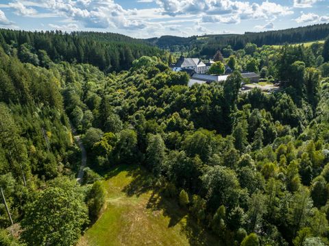 Eine grüne Landschaft mit dichten Wäldern und einem klaren Himmel. Im Hintergrund ist ein großes Anwesen zu sehen, umgeben von Bäumen.
