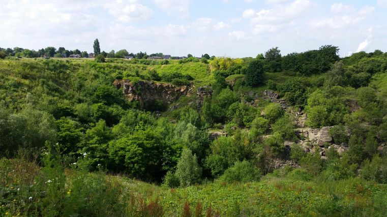 A green landscape with dense forests and bushes. In the background, gentle hills and a bright sky can be seen.