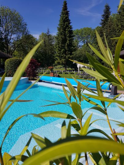 A beautiful pool surrounded by green grass and plants. In the background, trees and a clear blue sky can be seen.