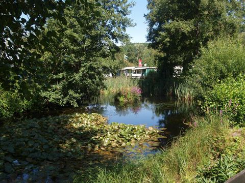 A tranquil pond surrounded by lush greenery and trees. In the background, there is a building and blooming plants.