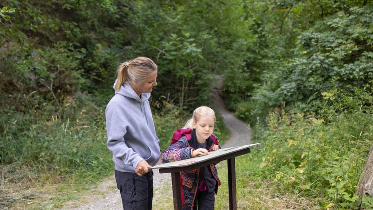 A woman and a child read an information board in the forest.