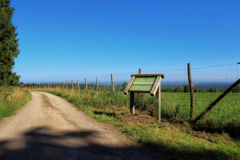 Ein schöner Feldweg führt entlang einer Wiese unter einem klaren blauen Himmel. Rechts steht ein Informationsschild an einem Zaun.