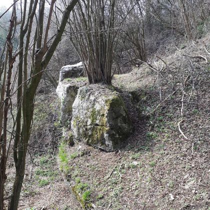 Ein Felsen ist von trockenem Laub und Bäumen umgeben. Die Landschaft wirkt wild und natürlich.