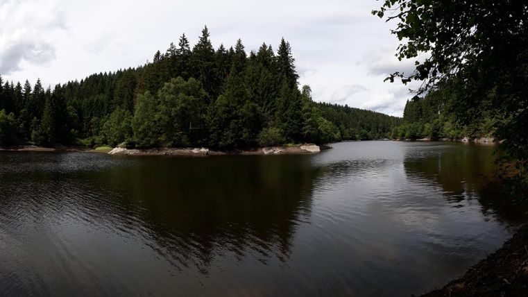 A tranquil lake surrounded by dense forests. The surface of the water reflects the green trees and the cloudy sky.